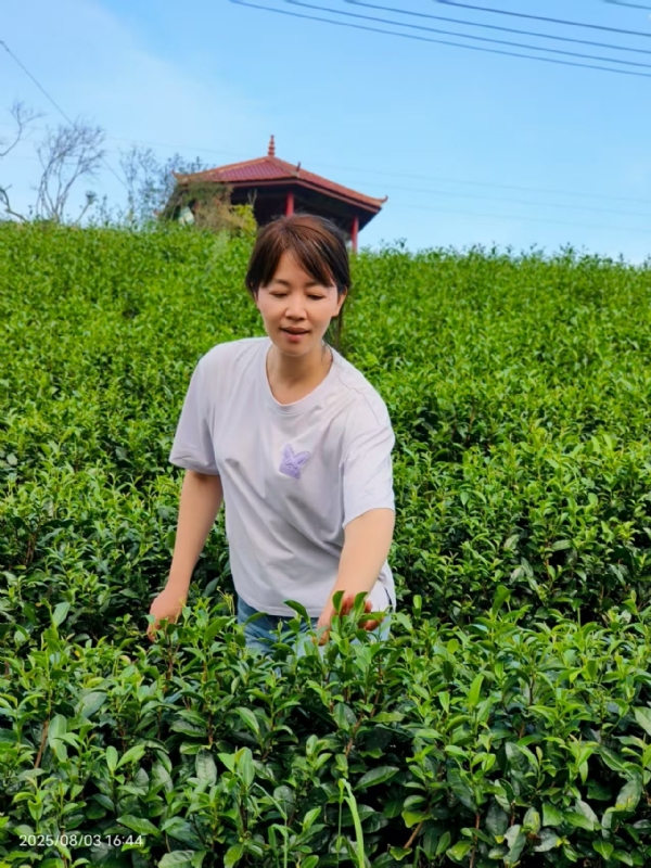 Q绮芳的第一张照片--晋江婚介网
